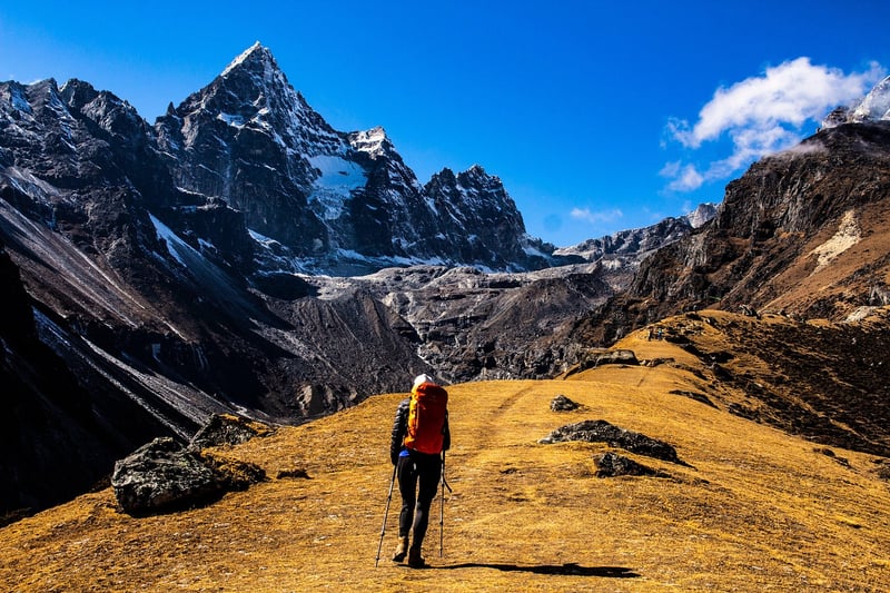 Hiker in the wilderness